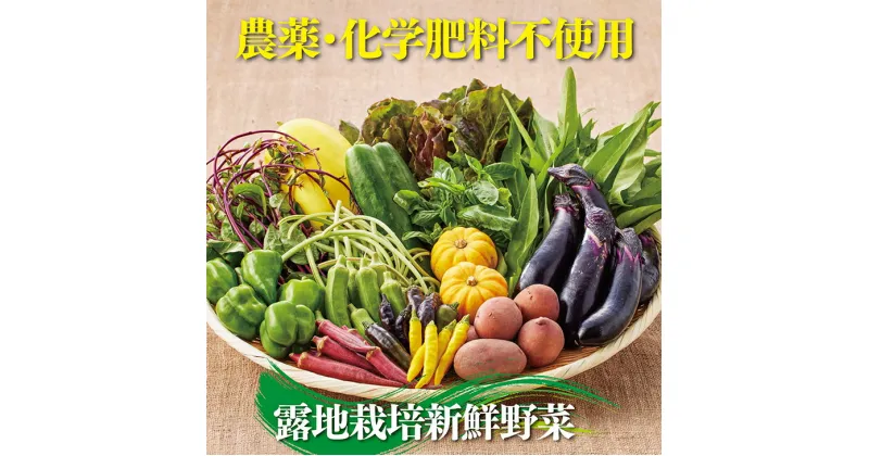 【ふるさと納税】佐賀産季節の旬野菜15種類（農薬・化学肥料不使用）：B150-008