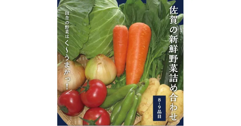 【ふるさと納税】新鮮・季節の野菜詰め合わせ：B120-006