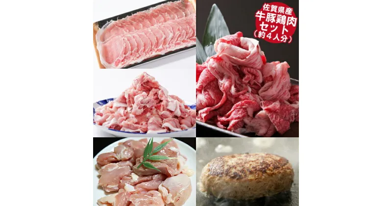 【ふるさと納税】佐賀県産 牛豚鶏肉ステイホームセット（約4人分）：B345-003