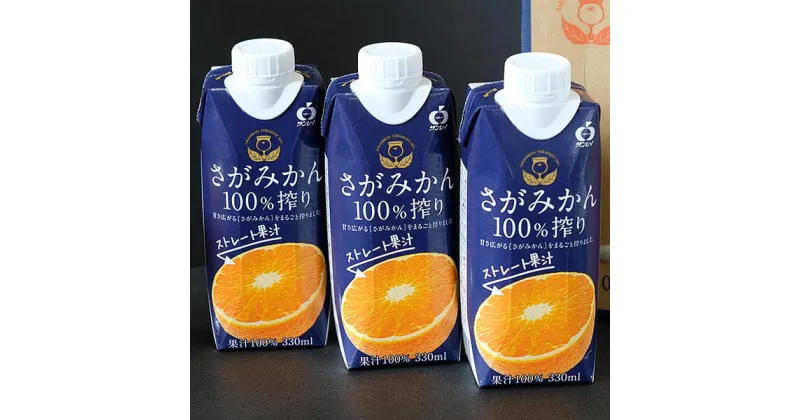 【ふるさと納税】さがみかん100％搾り　330ml×12本入　2箱セット：B170-001