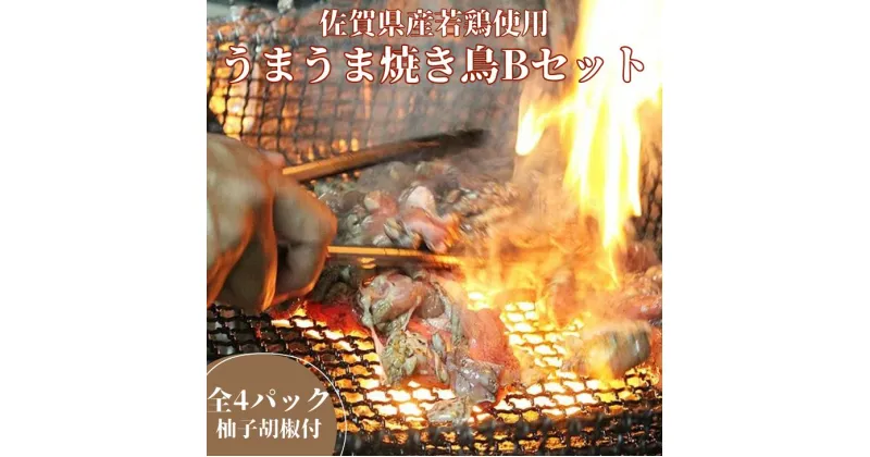 【ふるさと納税】まこっちゃん うまうま焼き鳥Bセット:B140-013