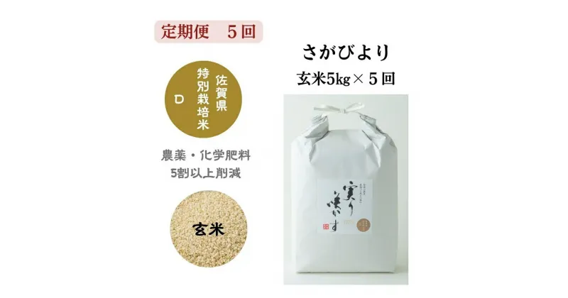 【ふるさと納税】【定期便5回】「実り咲かす」特別栽培さがびより 玄米 5kg（計25kg）：B570-002