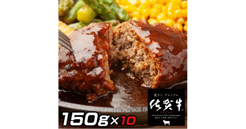 【ふるさと納税】佐賀牛入りがばいハンバーグ10個：B160-011