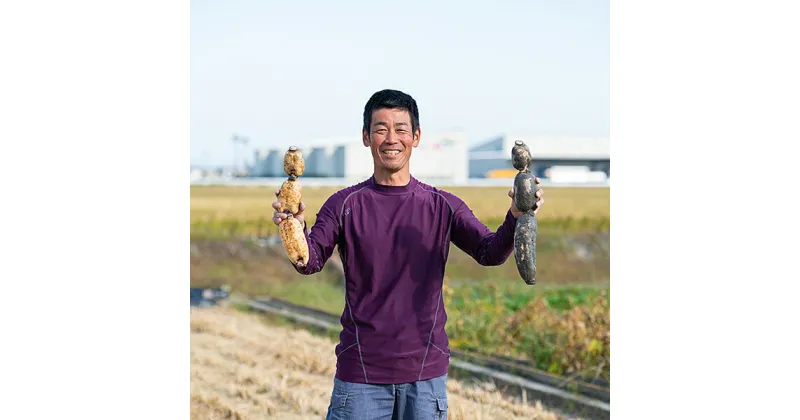 【ふるさと納税】うんっま！！佐賀れんこん 2kg：B125-008