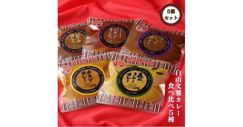 【ふるさと納税】白山文雅カレー 5種食べ比べセット：B205-003