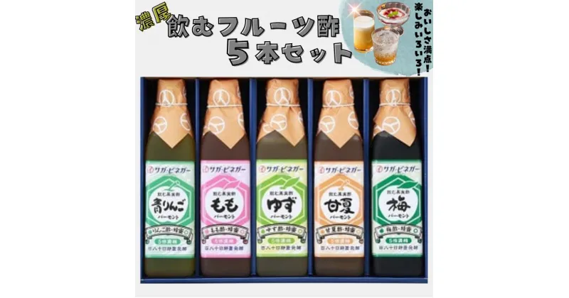 【ふるさと納税】濃厚飲むフルーツ酢5本：B210-016