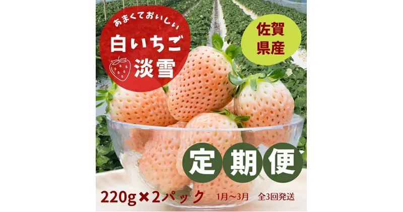 【ふるさと納税】【定期便3回】希少価値 佐賀県産 いちご淡雪 1~3月発送:B395-008