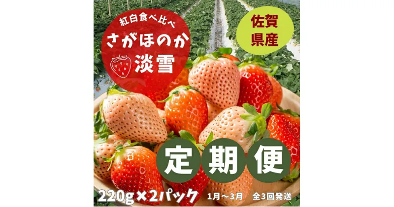 【ふるさと納税】【定期便3回】佐賀県産 紅白いちご食べ比べ 1~3月発送:B395-010