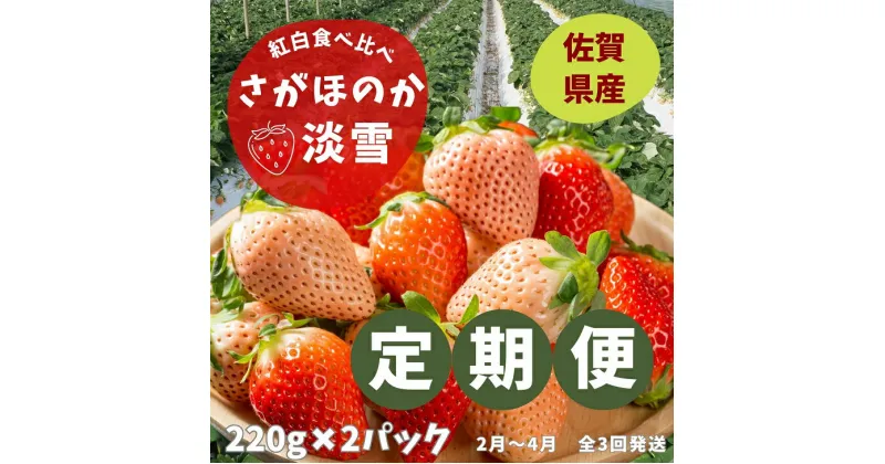 【ふるさと納税】【定期便3回】佐賀県産 紅白いちご食べ比べ 2~4月発送:B395-011