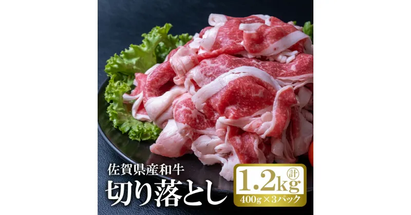 【ふるさと納税】佐賀産和牛切り落とし（400g×3P）計1.2kg：B190-031