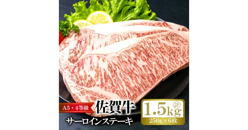 【ふるさと納税】佐賀牛サーロインステーキ（250g×6枚）計1.5kg：B715-002