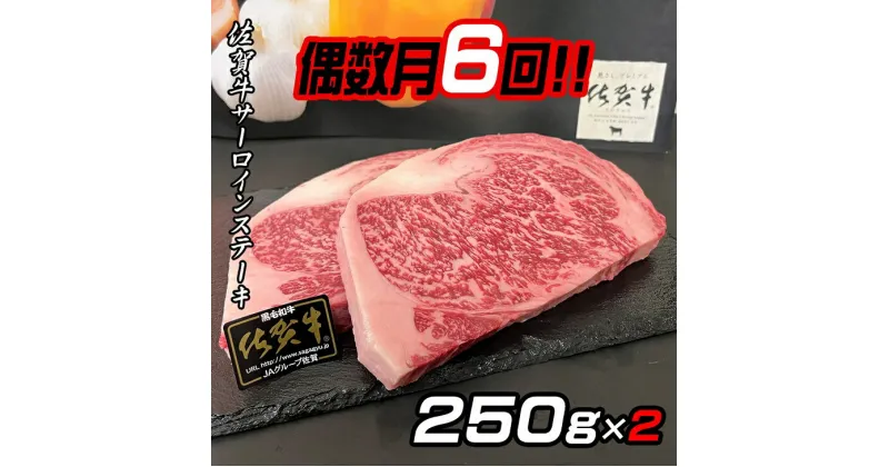 【ふるさと納税】【偶数月定期便（年6回）】佐賀牛ステーキ 250g×2：C172-004