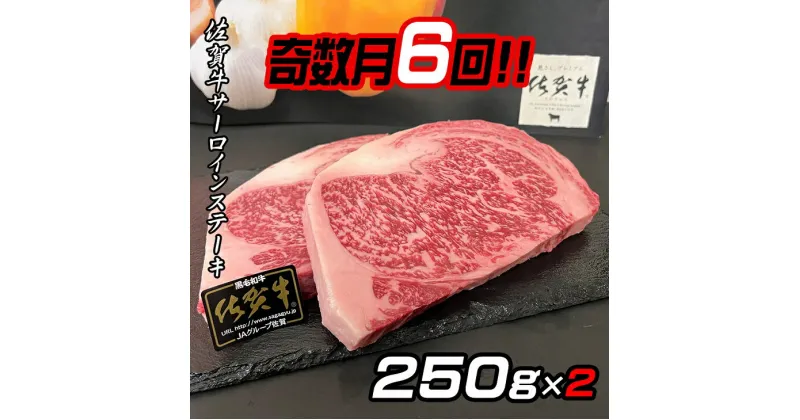 【ふるさと納税】【奇数月定期便（年6回）】佐賀牛ステーキ 250g×2：C172-005