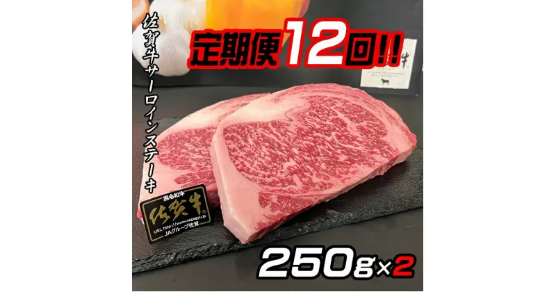 【ふるさと納税】【定期便12回】佐賀牛ステーキ 250g×2：C345-004