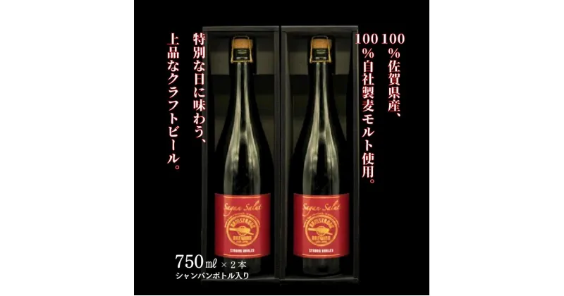 【ふるさと納税】佐賀のクラフトビール〈サガン・サリュート〉ストロングバーレー 2本組：B245-005