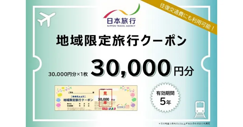 【ふるさと納税】佐賀県佐賀市 日本旅行 地域限定旅行クーポン30,000円分：C100-036