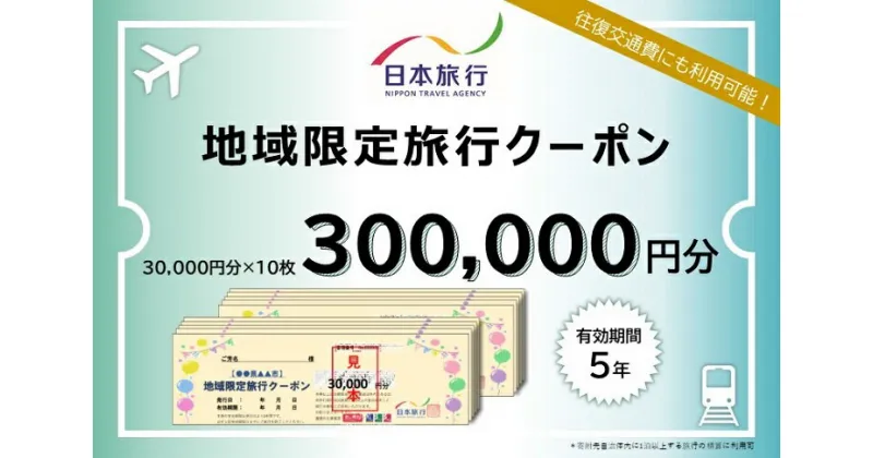 【ふるさと納税】佐賀県佐賀市 日本旅行 地域限定旅行クーポン300,000円分：D100-004