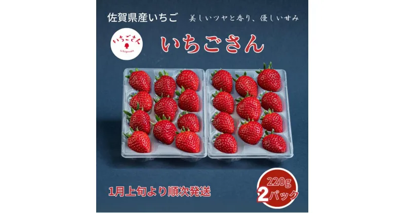 【ふるさと納税】佐賀県産いちご いちごさん：B100-037