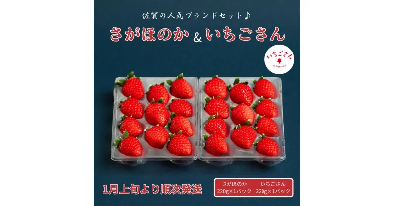 【ふるさと納税】佐賀県産いちご さがほのか&いちごさんセット：B100-039