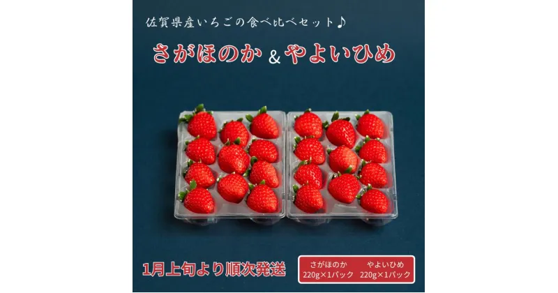 【ふるさと納税】佐賀県産いちご さがほのか&やよいひめセット：B100-040