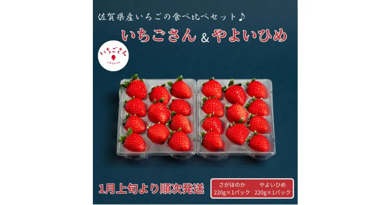 【ふるさと納税】佐賀県産いちご いちごさん&やよいひめセット：B100-041