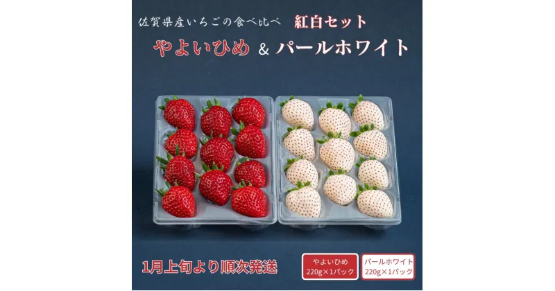 【ふるさと納税】佐賀県産いちご やよいひめ&パールホワイト 紅白セット：B140-082