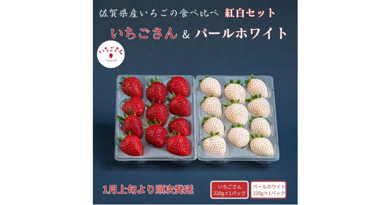 【ふるさと納税】佐賀県産いちご いちごさん&パールホワイト 紅白セット：B140-083