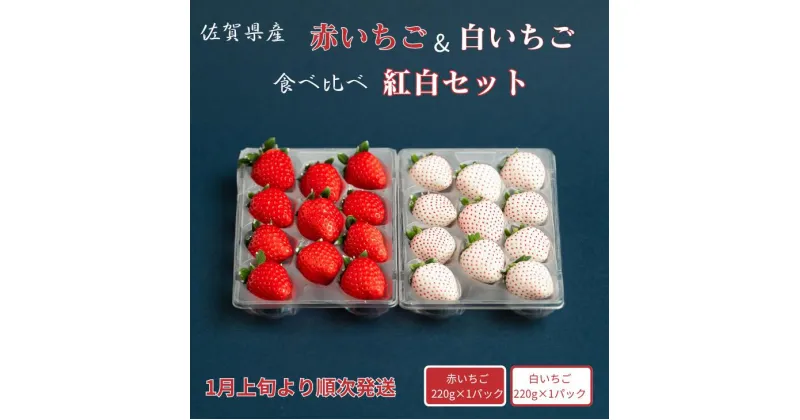 【ふるさと納税】佐賀県産いちご 赤いちご白いちご 紅白セット：B140-084