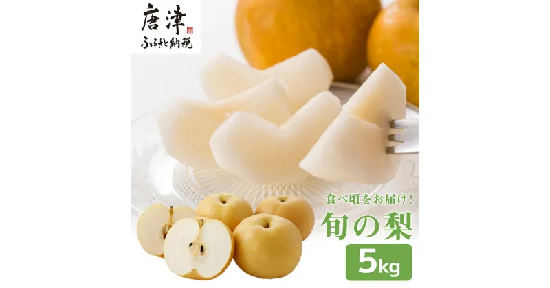 【ふるさと納税】今が食べ頃 特栽 旬の梨5kg【申込時期により旬の品種を発送】和梨 幸水 豊水 新高 あきづき 愛宕 果物 フルーツ くだもの