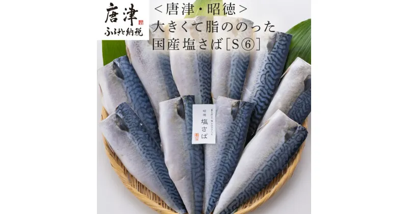 【ふるさと納税】大きくて脂ののった国産塩さば 150g×10枚(合計1.5kg) おかず ギフト 「2024年 令和6年」