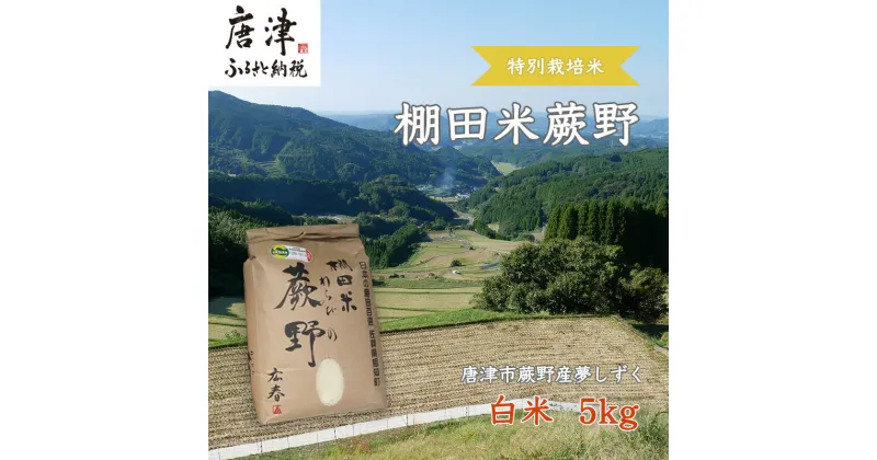 【ふるさと納税】『先行予約』【令和6年産】特別栽培棚田米「蕨野」5kg×1袋(合計5kg) 家庭排水が一切入らない自然水で作られたお米 10日に1回精米で新米のような味わい