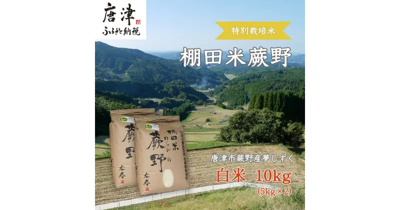 【ふるさと納税】『先行予約』【令和6年産】特別栽培棚田米「蕨野」5kg×2袋(合計10kg) 家庭排水が一切入らない自然水で作られたお米 10日に1回精米で新米のような味わい