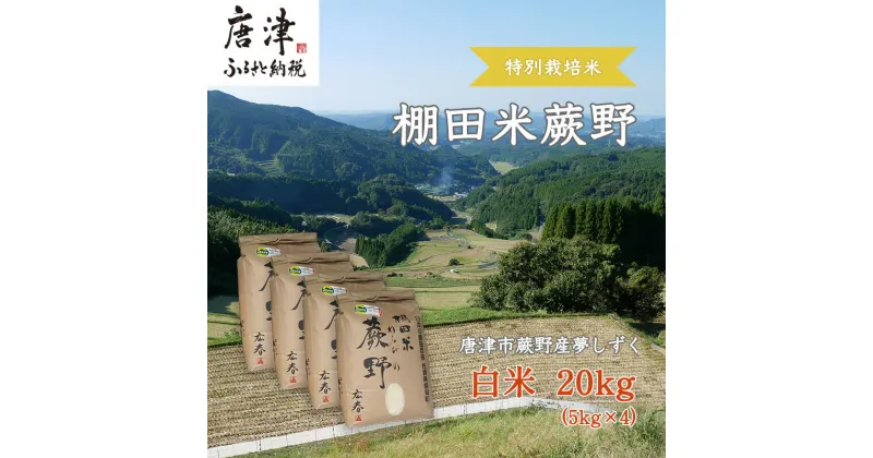 【ふるさと納税】『先行予約』【令和6年産】特別栽培棚田米「蕨野」5kg×4袋(合計20kg) 家庭排水が一切入らない自然水で作られたお米 10日に1回精米で新米のような味わい