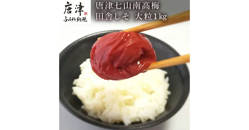 【ふるさと納税】唐津七山 南高梅大粒しそ味 500g×2(合計1kg)「irodoriからつ四季の返礼品」山間から湧き出る澄んだ水をふんだんに含んだ土壌で栽培 「2024年 令和6年」