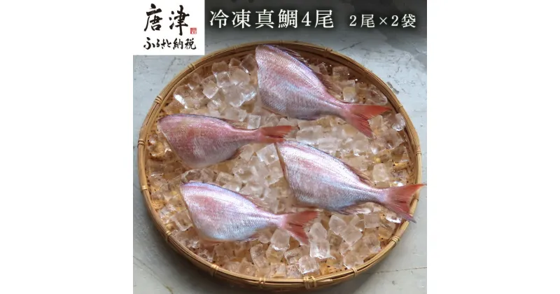 【ふるさと納税】冷凍真鯛 2尾500g×2P(合計1kg) 佐賀県唐津産 天然 真空パック 刺身 煮付 塩焼き 「2024年 令和6年」