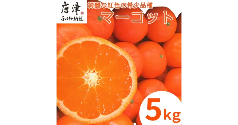 【ふるさと納税】『予約受付』【令和7年2月中旬発送】マーコット（ハウス栽培）唐津産 5kg みかん ミカン 果物 フルーツ