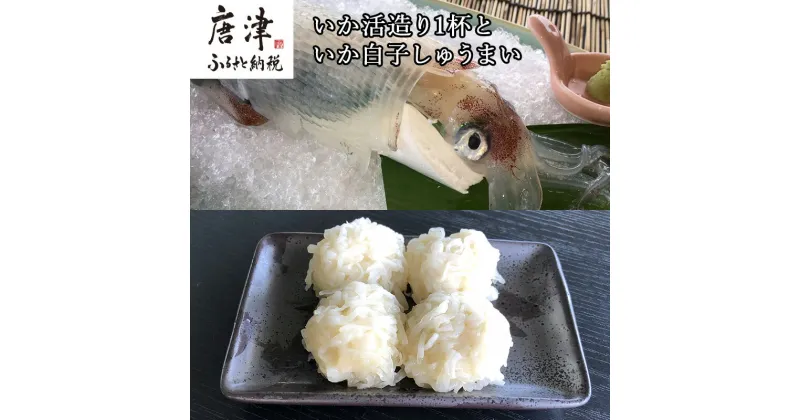 【ふるさと納税】いか活造り1杯といか白子しゅうまい 刺身 惣菜 簡単 ギフト 冷凍「 2024年 令和6年」