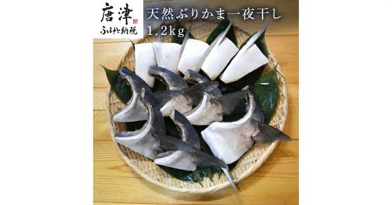 【ふるさと納税】天然ぶりかま一夜干し ハーフ2食×5袋 計1kg ・フル1食×1袋 計200g(合計1.2kg) おかず おつまみ 「2024年 令和6年」