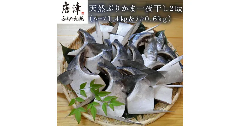 【ふるさと納税】天然ぶりかま一夜干し ハーフ2食×7袋 計1.4kg・フル1食×3袋 計600g(合計2kg) おかず おつまみ 「2024年 令和6年」