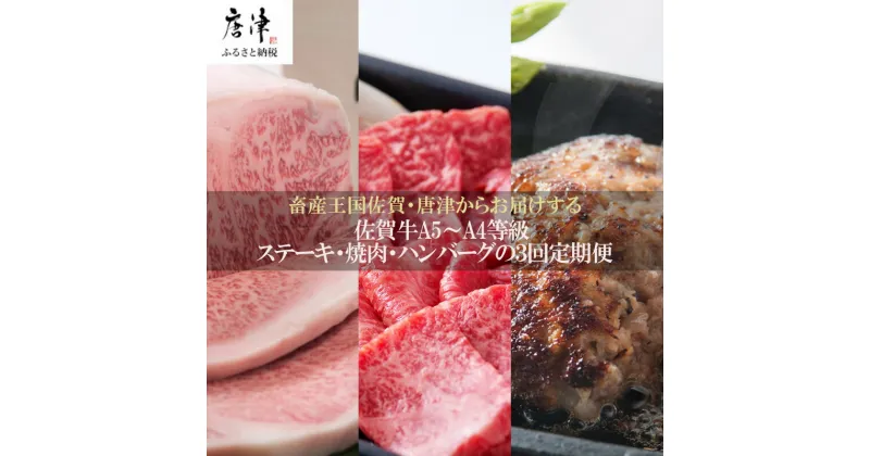 【ふるさと納税】「定期便全3回」 佐賀牛 ステーキ250g×2・焼肉360g・ハンバーグ140g×10個 (合計2.26kg) 寄附翌月から発送 A5～A4等級 ギフト 贈り物 「2024年 令和6年」