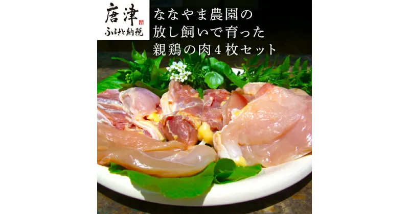 【ふるさと納税】佐賀県産 放し飼いで育った親鶏の肉 (もも むね ささみ各2枚×4) 煮込み料理 たたき「2024年 令和6年」