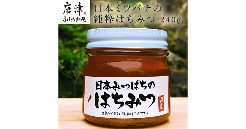 【ふるさと納税】日本ミツバチの純粋はちみつ 240g 瓶 自然 蜜「2024年 令和6年」