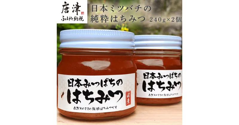 【ふるさと納税】日本ミツバチの純粋はちみつ 240g×2個 (合計480g) 瓶 自然 蜜「2024年 令和6年」