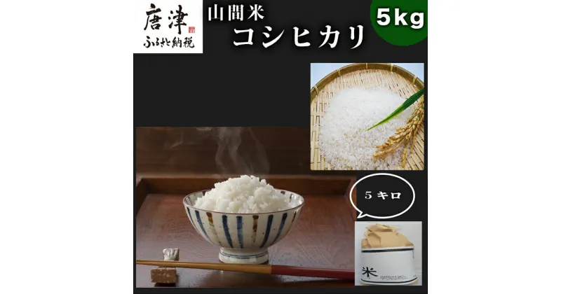 【ふるさと納税】『先行予約』【令和6年産】山間米 コシヒカリ 5kg 唐津 七山