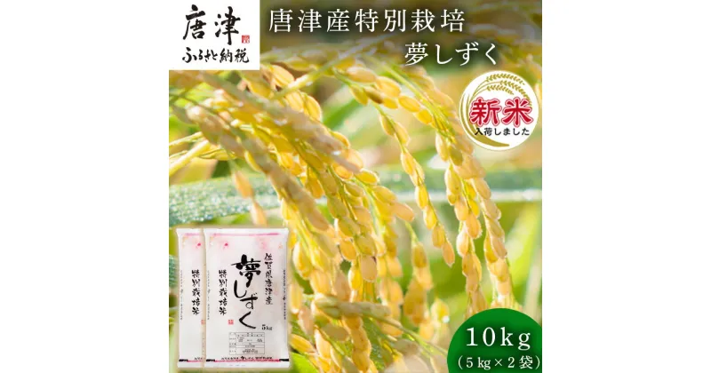 【ふるさと納税】【令和6年産新米】米の食味ランキング3年連続「特A」評価！ 唐津産特別栽培 夢しずく 10kg コメ 精米 お米 ごはん 白米 おにぎり