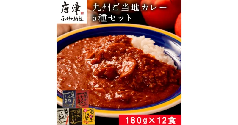 【ふるさと納税】九州ご当地カレー佐賀牛ひき肉カレー180g×4、博多和牛カレー、長崎本鮪カレー、黒豚ポークソテーカレー、古処鶏和風カレー各180g×2(合計2.16kg)「2024年 令和6年」