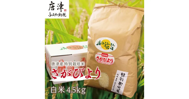 【ふるさと納税】『先行予約』【令和6年産】唐津産特別栽培米 さがびより(白米) 4.5kg 白米 ご飯 こめ お米 おにぎり