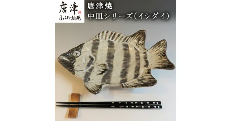 【ふるさと納税】唐津焼 お魚 中皿シリーズ(イシダイ) 料理 食器 「2024年 令和6年」