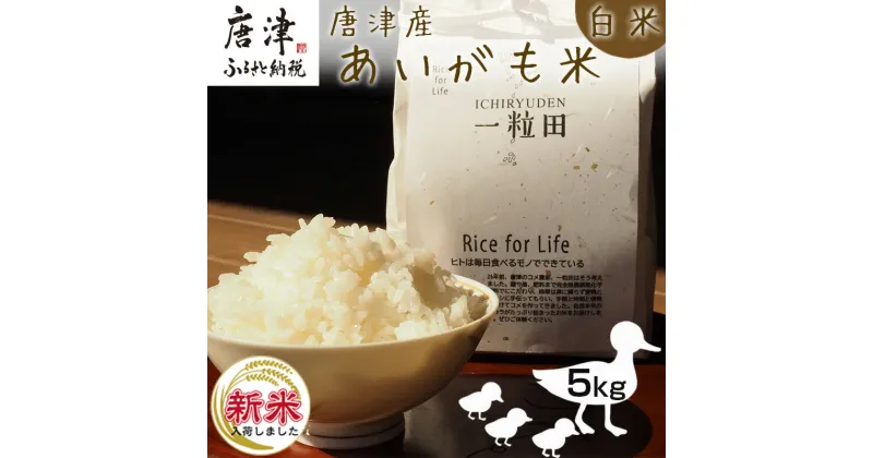 【ふるさと納税】【令和6年産新米】唐津産 あいがも米 5kg (白米) 一粒田 合鴨農法 無農薬 無化学肥料 コメ お米 ごはん