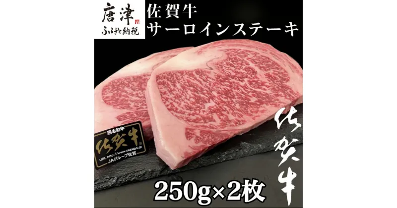 【ふるさと納税】佐賀牛サーロインステーキ 250g×2枚(合計500g) 牛肉 ステーキ BBQ アウトドア 「2024年 令和6年」